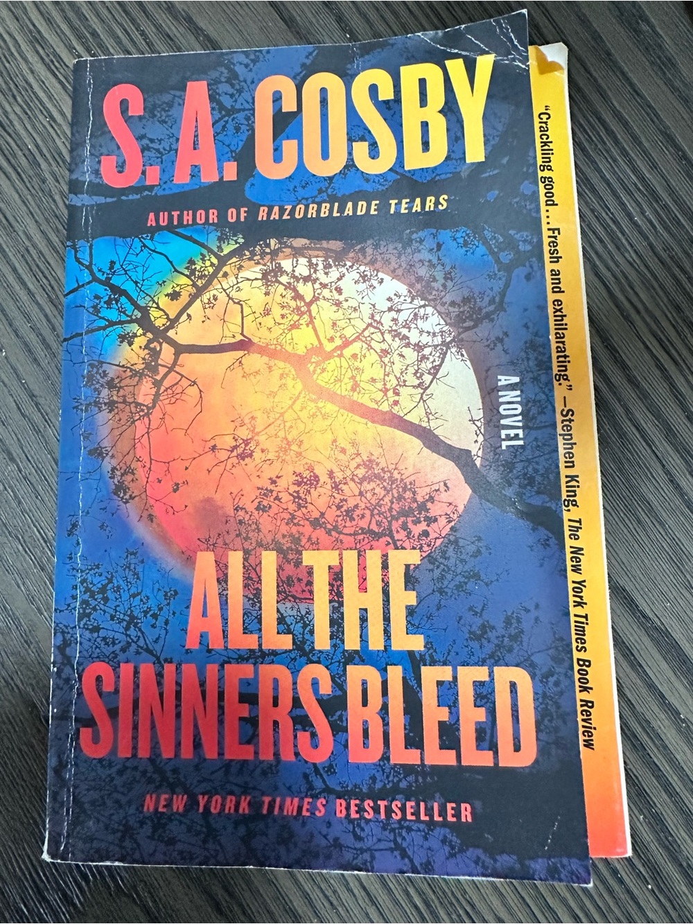 📚3 FOR $20 BOOK SALE - All The Sinners Bleed by